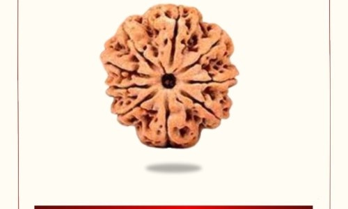 草药胡枝子-胡枝子十大功效-胡枝子苗图片,中国胡枝子苗药用网站