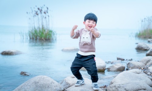 胡枝子有什么药用价值啊-胡枝子十大功效-胡枝子苗图片,中国胡枝子苗药用网站